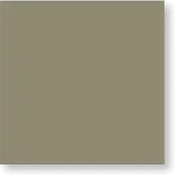 CP109
