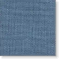 CV 21