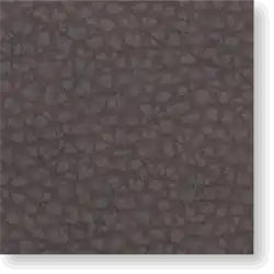 EB19