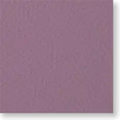 EN17