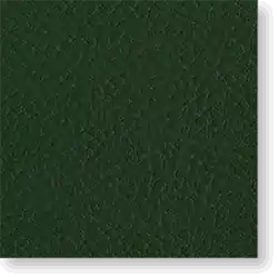 EN21