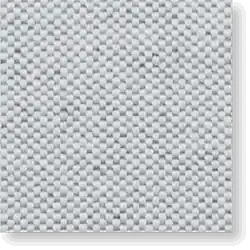 LN19