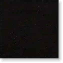 VL19
