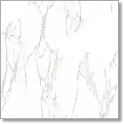 grp-006