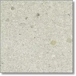 sst-005